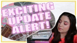 A Pan a Palette Project Pan - Update 2 | Szannyside