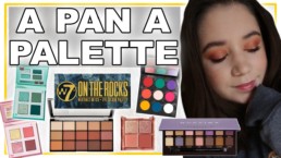 A Pan a Palette Project Pan - Update 6 | Szannyside